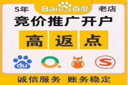 SEM托管服务，成功案例深度分析